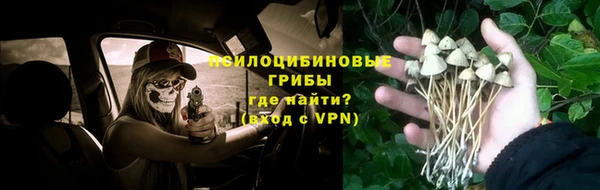 гидропоника Кодинск