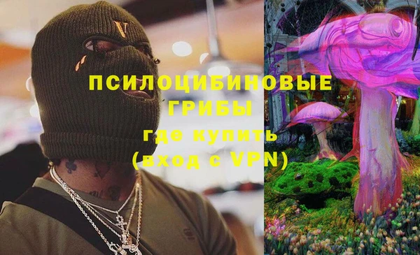 гидропоника Кодинск